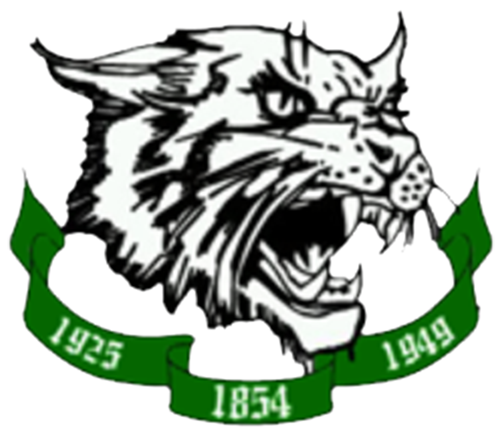 Arundel High School Wildcats — Gambrills, MD logo